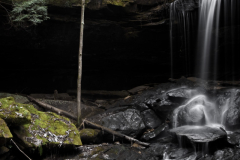 Bankhead National Forest, Sipsey,